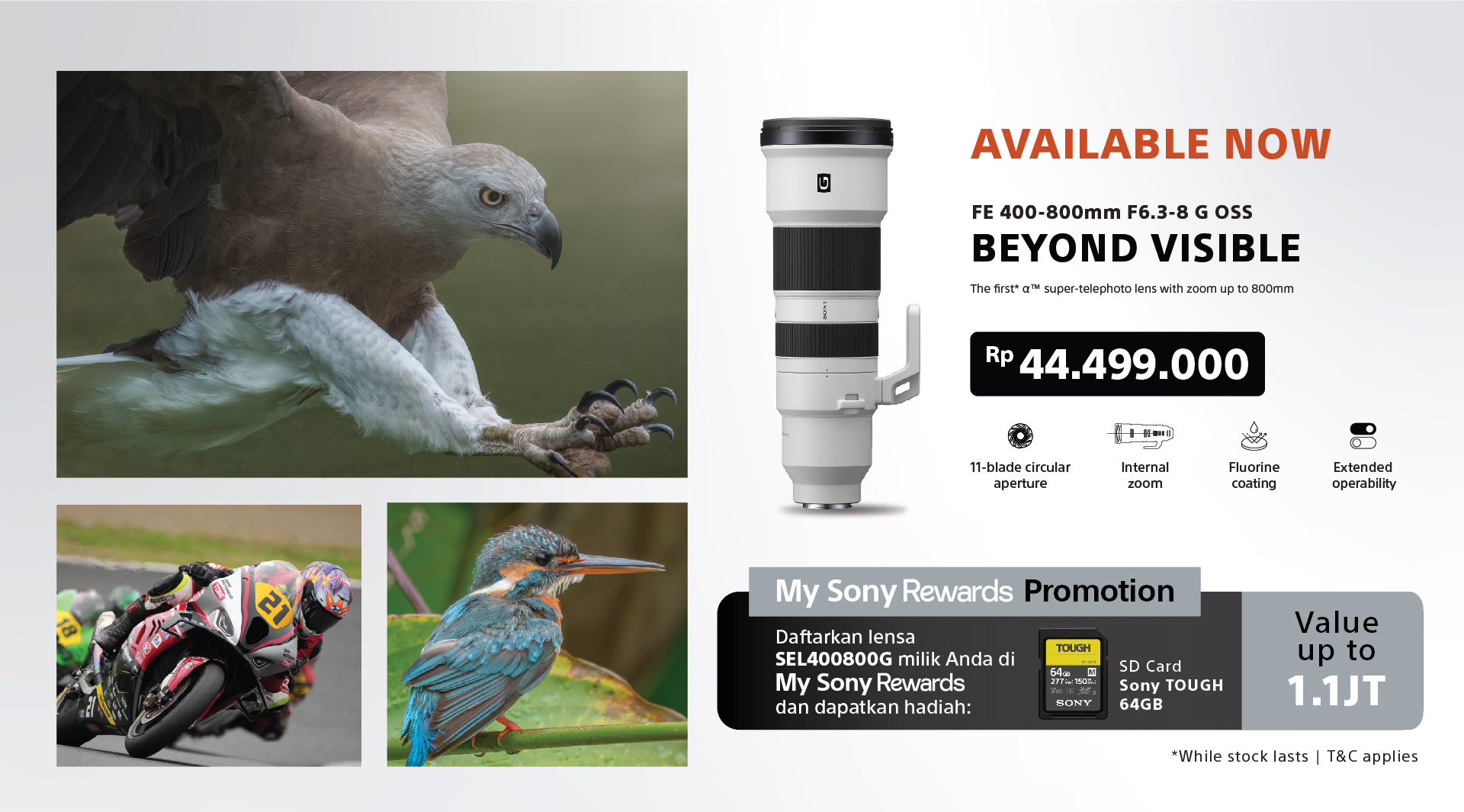 Widen your vision. See beyond the visible